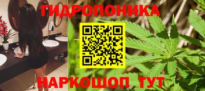 jwh Кинель