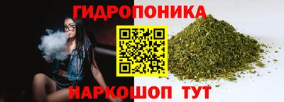 дурь Кингисепп