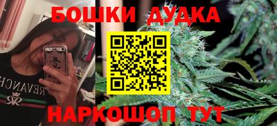 jwh Кинель