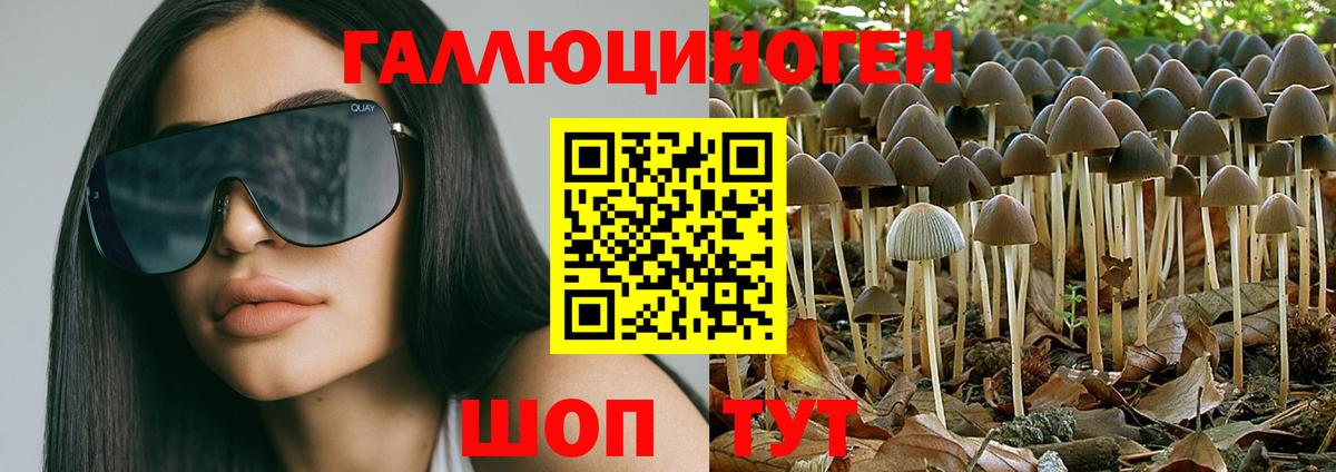 Галлюциногенные грибы Psilocybine cubensis  Вход с VPN  Галлюциногенные грибы Psilocybine cubensis  Невинномысск 